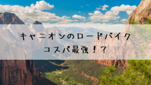 キャニオンのロードバイク。コスパ最強！？初めての1台にアリかも！