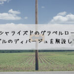 スペシャライズドのグラベルロード！2022年モデルのディバージュを解説してみます☆その1