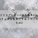 今年のクリスマスプレゼントは自転車にしませんか？おすすめのキッズ自転車です☆ヨツバサイクル編 その2