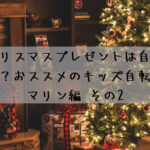今年のクリスマスプレゼントは自転車にしませんか？おすすめのキッズ自転車です☆マリン編 その2