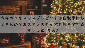 今年のクリスマスプレゼントは自転車にしませんか？おすすめのキッズ自転車です☆マリン編 その2