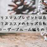 今年のクリスマスプレゼントは自転車にしませんか?おすすめのキッズ自転車です☆コーダーブルーム編その3