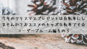 今年のクリスマスプレゼントは自転車にしませんか?おすすめのキッズ自転車です☆コーダーブルーム編その3