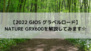 2022 GIOS NATURE GRX600 GRX600