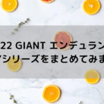 【2022 GIANT エンデュランス】DEFYシリーズをまとめてみます☆