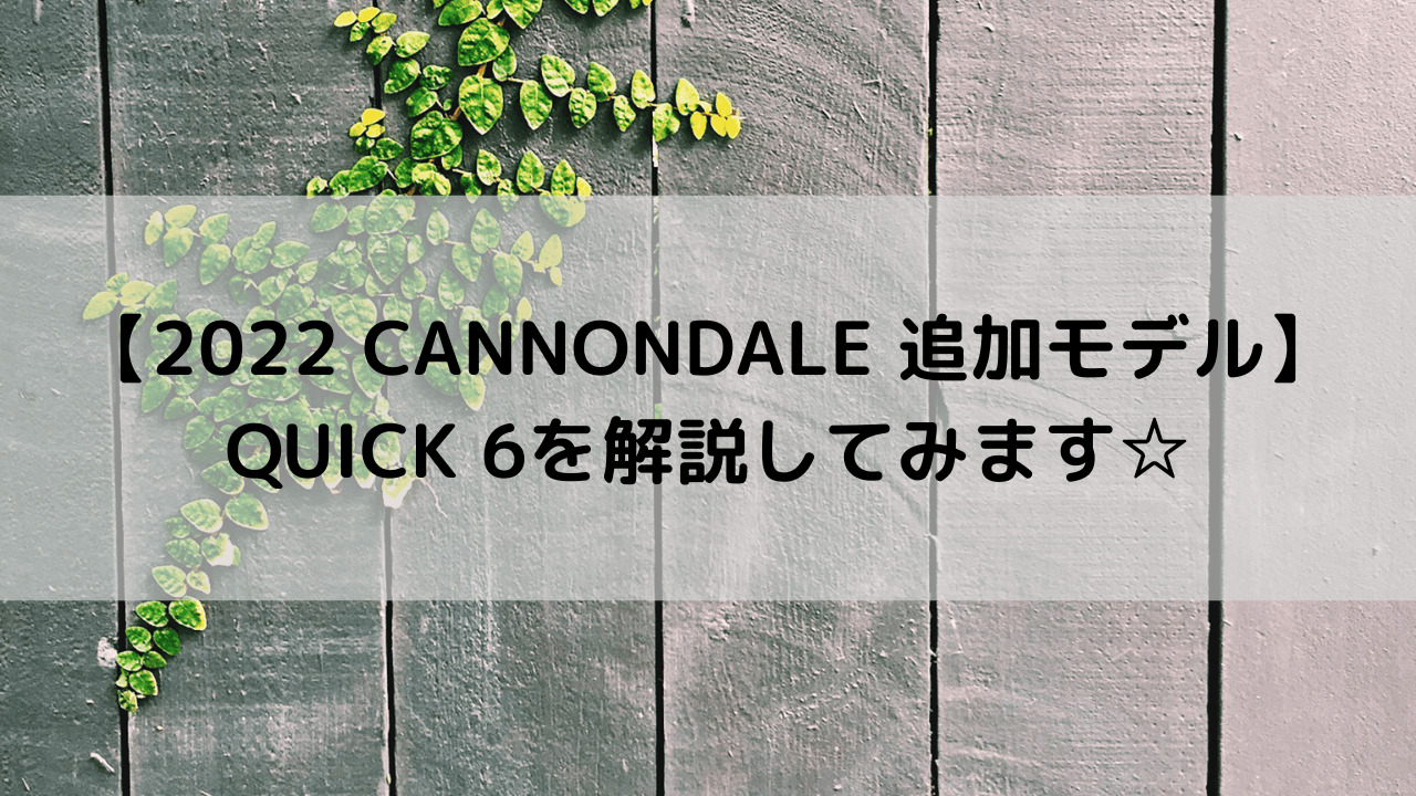 2022 CANNONDALE 追加モデル】QUICK 6を解説してみます☆