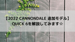 【2022 CANNONDALE 追加モデル】QUICK 6を解説してみます☆