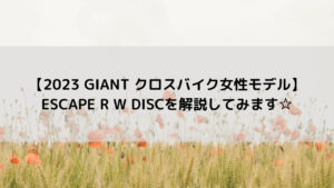 【2023 GIANT クロスバイク女性モデル】ESCAPE R W DISCを解説してみます☆