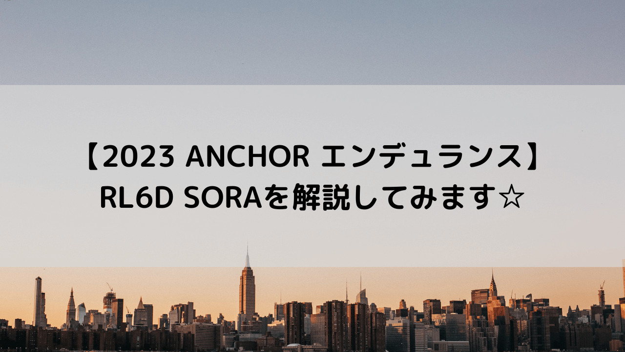 【2023 ANCHOR エンデュランス】RL6D SORAを解説してみます☆
