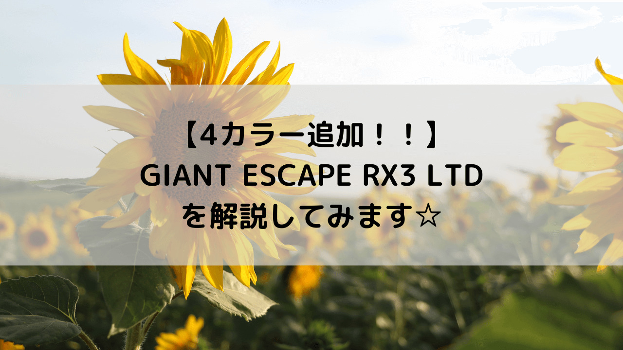 【4カラー追加！！】GIANT ESCAPE RX3 LTDを解説してみます☆