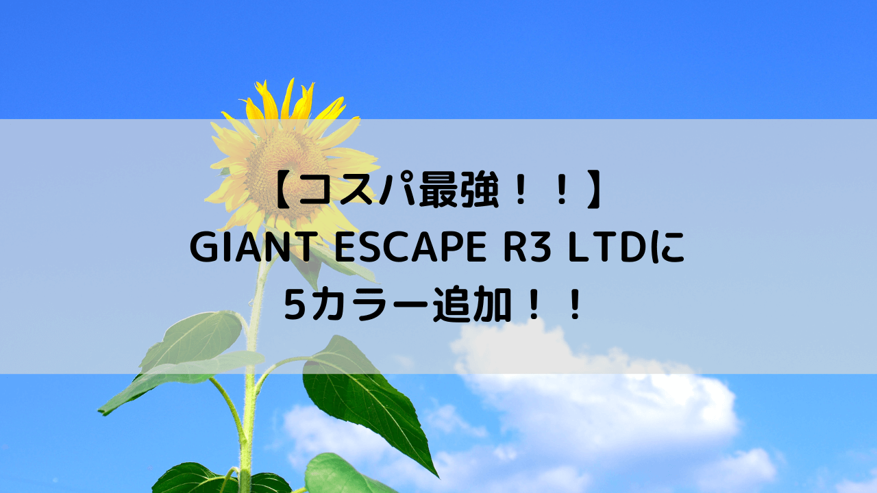 【コスパ最強！！】GIANT ESCAPE R3 LTDに5カラー追加！！