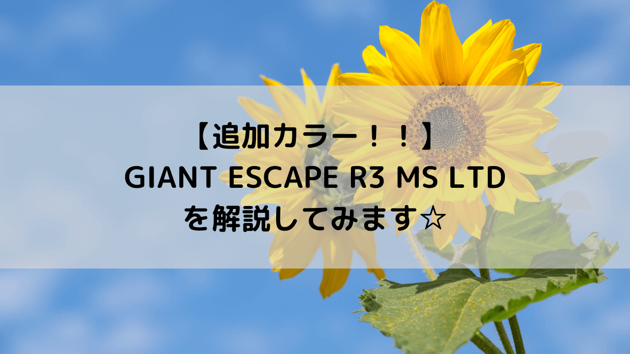 【追加カラー！！】GIANT ESCAPE R3 MS LTDを解説してみます☆